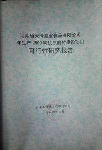 可行性报告