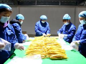 环境展示